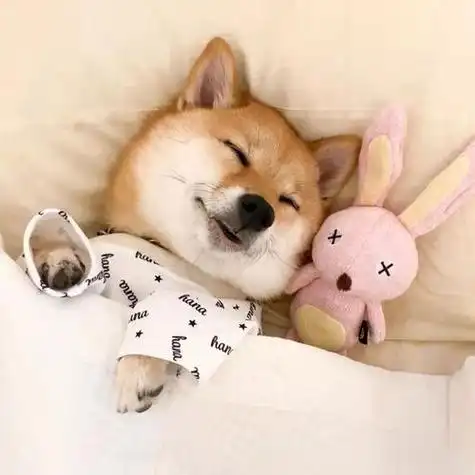 qq头像男生单身狗悲伤 - 搜狗图片搜索