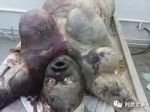 今日说法隔壁老王千千万亲子鉴定怎么办