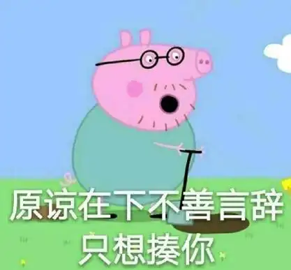 原谅在下不善言辞只想揍你 - 都是小猪佩奇表情 67_小猪佩奇