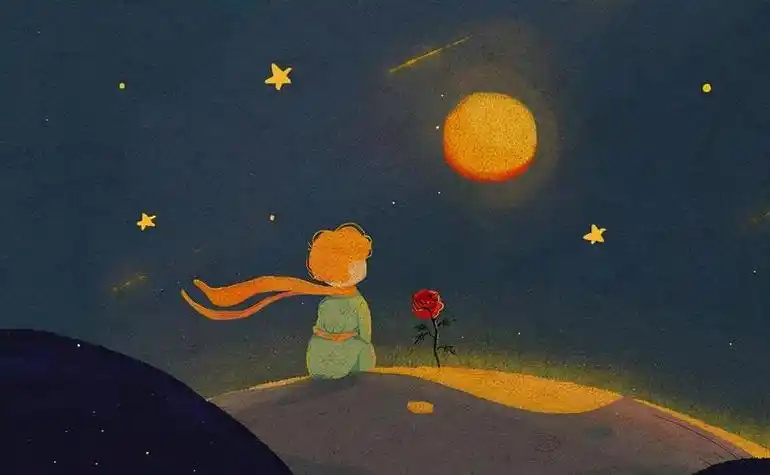 小王子和玫瑰的语录