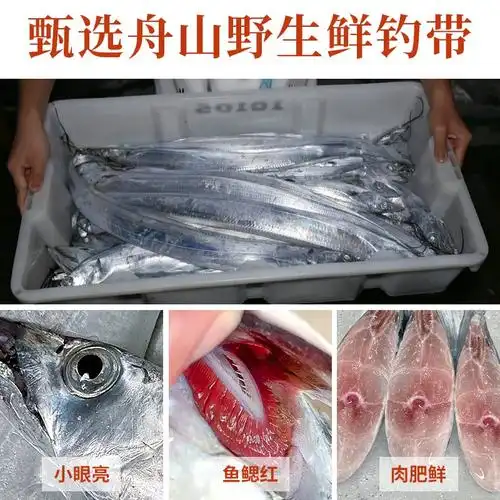 刀鱼鲜活海鲜水产8 10两由"备货网"根据销量,好评率,价格和信誉进行精