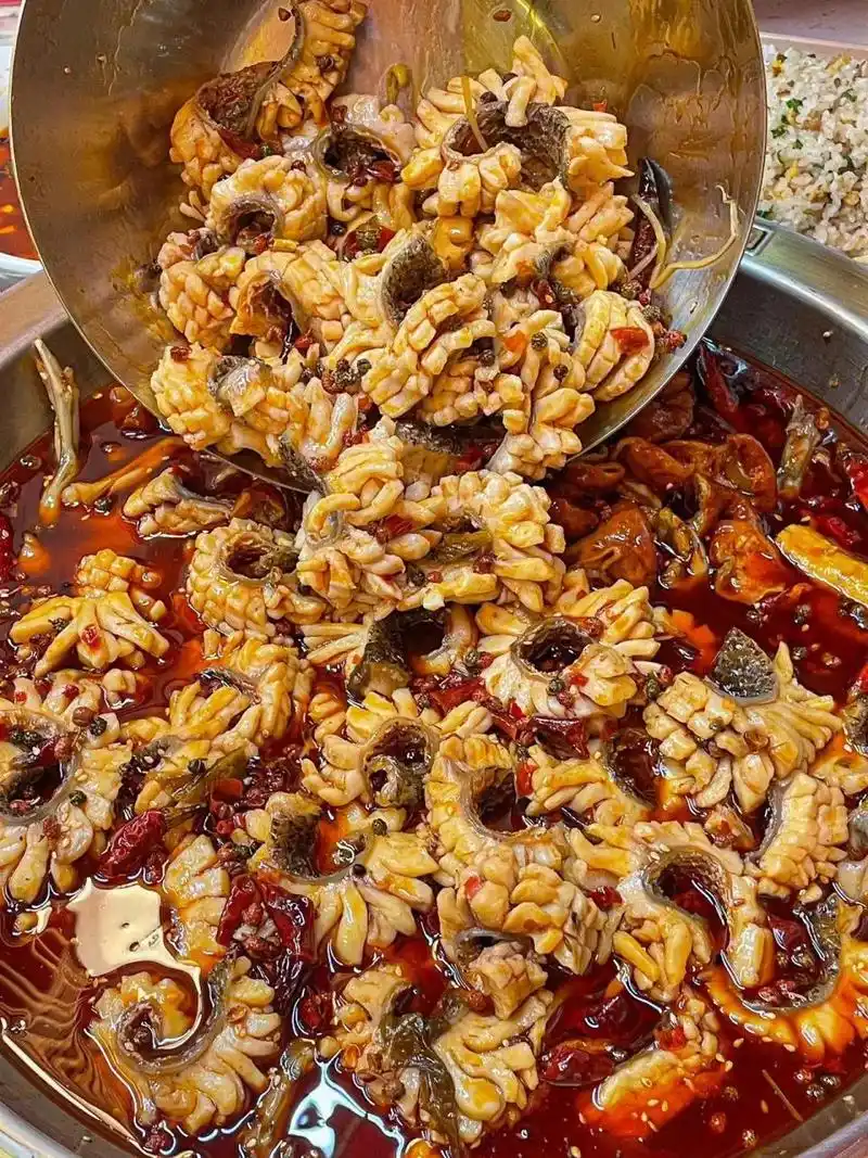 成都人都去吃!36.8r乌鱼花自助不浪费随便吃  就在我家附近我们西门终