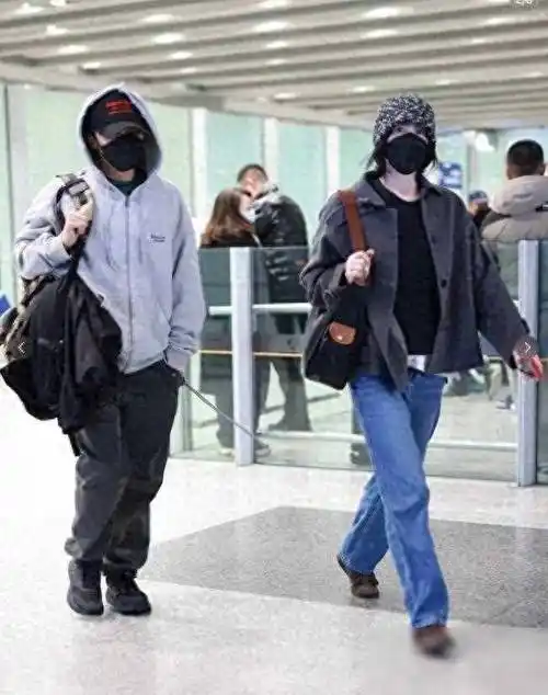 王菲谢霆锋日本回国王菲用拳头捶男友撒娇脖子上大疙瘩引热议