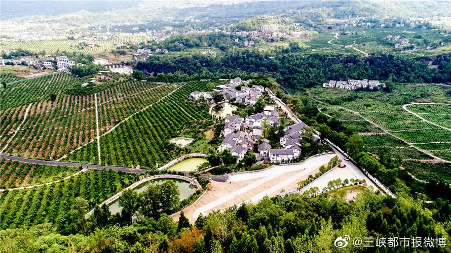 盛夏的清晨,漫步在万州甘宁镇永胜村箭楼院子,"青色瓦,白色墙",有着