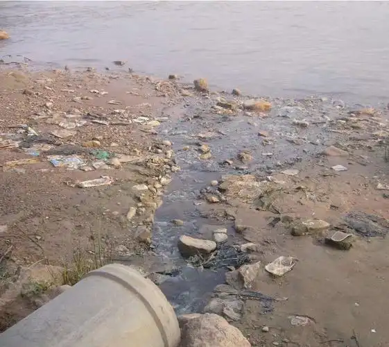 破坏生态环境要负什么责任民法典告诉你