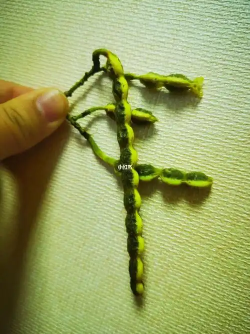 植物  #绿化  #秋天的果实  #询问大家  #看图识物