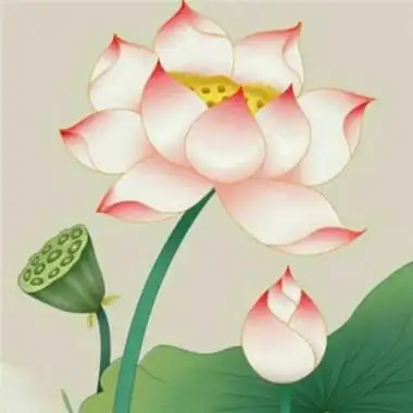 修行人静心修心莲花淡雅禅意图片头像(精选24张)-非主流之家