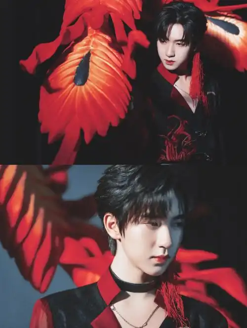 红色的贺儿金色的贺儿,啊!吐泡泡的加不上去了!为啥它只能放9张!