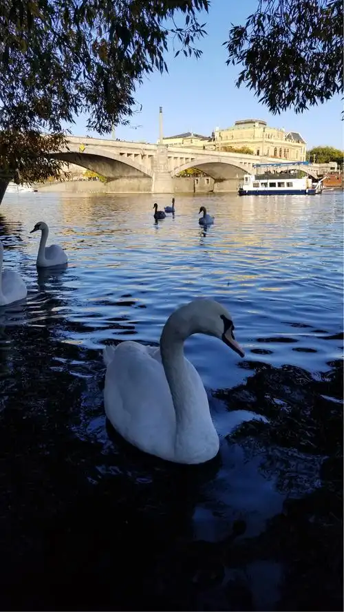 镜头中的风景～如画!
