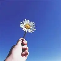 好看花花草草微信头像_微信头像图片大全