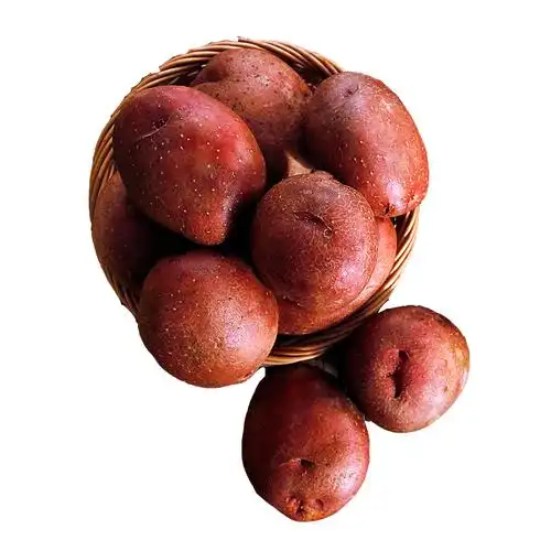 5斤统货马铃薯 乌兰察布原产地新鲜红皮大土豆