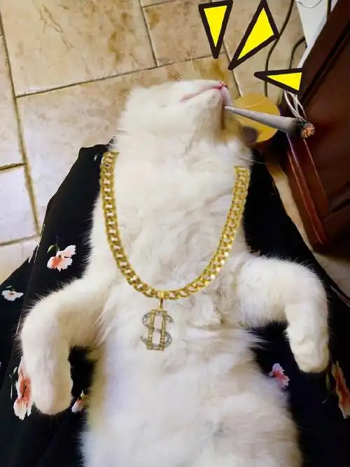 爱豆抽烟炫富又有违法行为,失格不~?