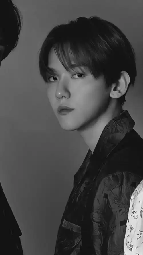 边伯贤日本一辑