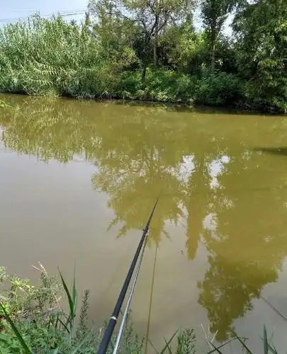 天热也要去钓鱼 用蚯蚓饵料效果也是非常不错!