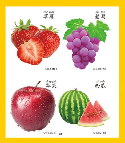 认知书宝宝看图识字认物卡片婴幼儿童书籍认物大全1000例附儿歌三百首