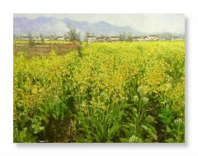 庾正平汉中油菜花节写生作品