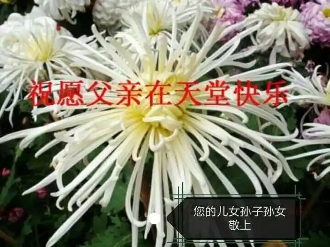 纪念父亲去世十周年