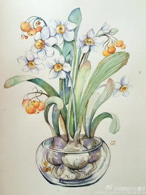 水彩,手绘,花卉植物~更多请关注微博@旋旋的水彩星球