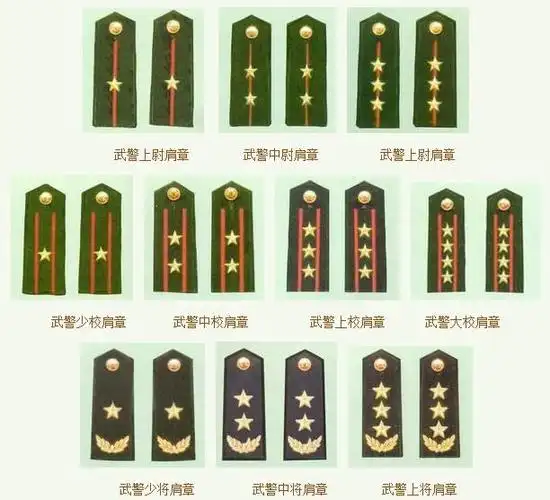 肩章上缀军衔或军兵种专业勤务符号.