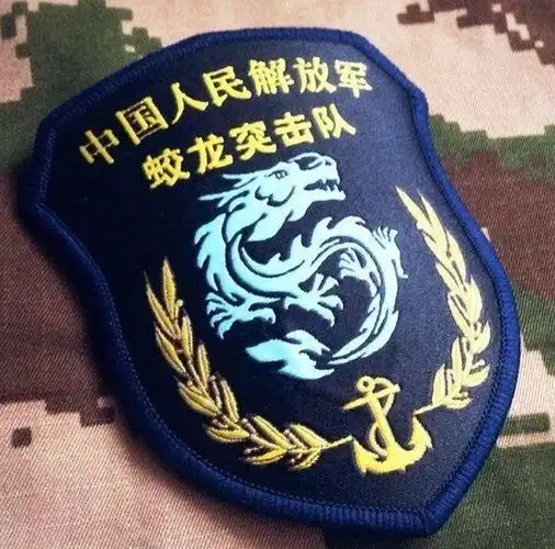 神秘的中国10大特种部队队徽曝光这是中国的特种力量