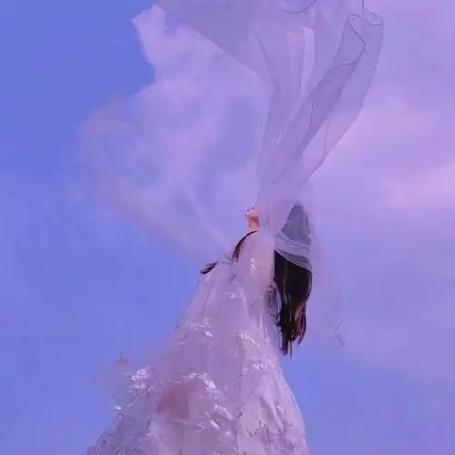 女生戴头纱唯美头像