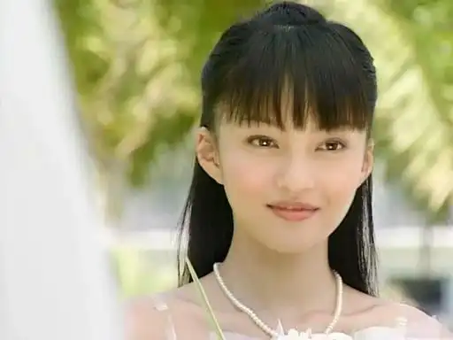 海豚湾恋人里的小演员表