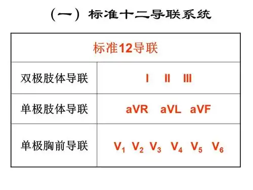 4心电图检查三导联体系ppt