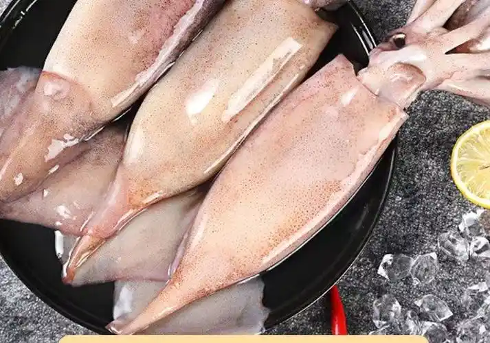 超大鱿鱼鲜活深海捕冷冻水产野生新鲜大鱿鱼大鱿鱼5斤