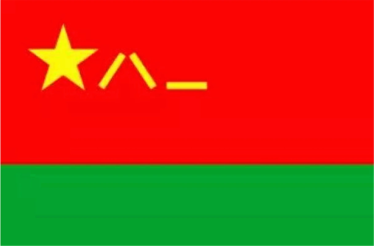 火箭军军旗, 旗面上半部保持军旗基本样式,下面是一抹黄色,象征着神剑