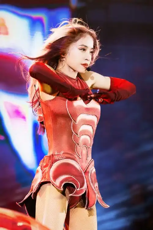 蔡依林咸阳演唱会