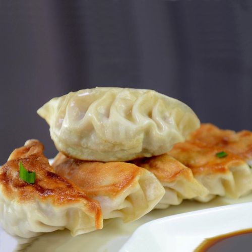 日本料理店用日式煎饺10只新鲜猪肉饺子锅贴传统水饺