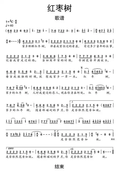 红枣树歌谱简谱乐谱