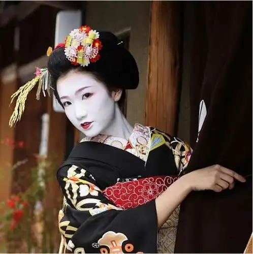 京都艺伎录纯洁的表演艺术