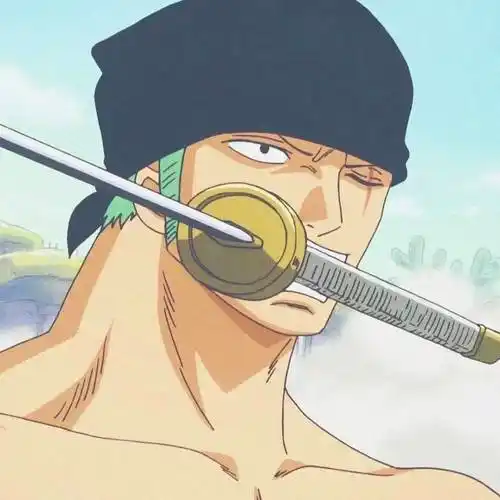 贼王头像│索隆头像│不是我想发索隆,是他迷路到这里了_峡谷_头像