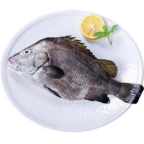 包公2斤冰鲜海鲜水产新鲜现杀海鱼鱼鲷鱼刺其它