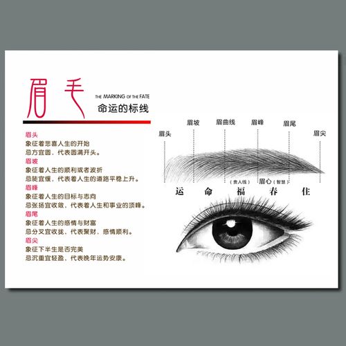 多款韩式半永久定妆装饰画 微整形美容挂画纹绣海报眉毛运势墙画