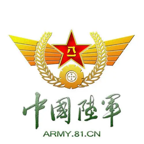 所有军迷:陆军"准军官"带你去看不一样的绚丽"花火"