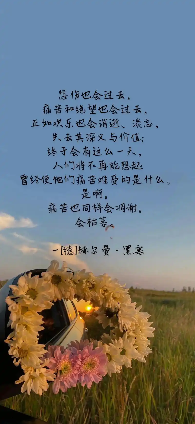 悲伤也会过去,痛苦和绝望也会过去,正如欢乐也会消逝,淡忘