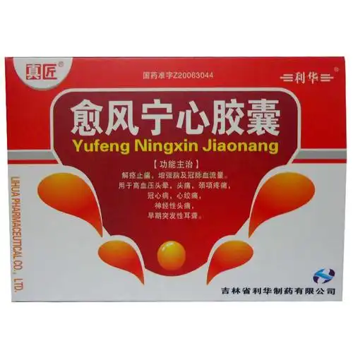 真匠 愈风宁心胶囊