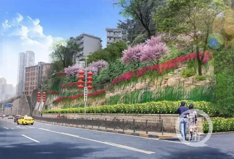 看效果丨春满山城,重庆主城边坡变身绿地花海
