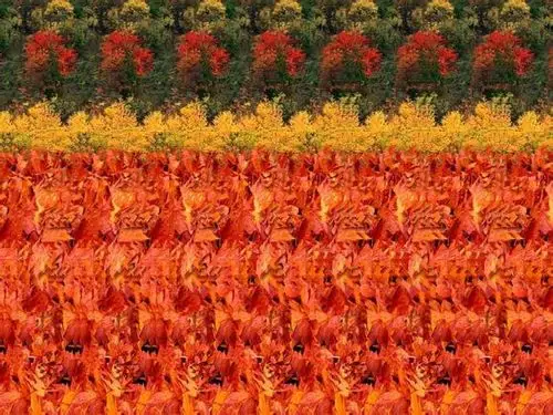 【裸眼3d图】自制图1