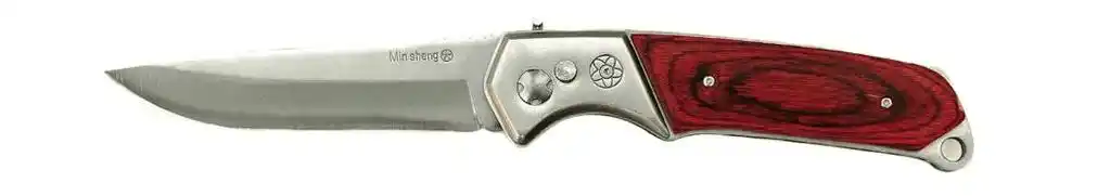 海安某男子携带一把约50cm的砍刀进店