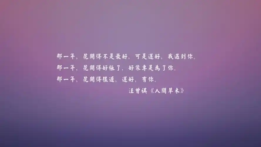 文字语录文字控壁纸8