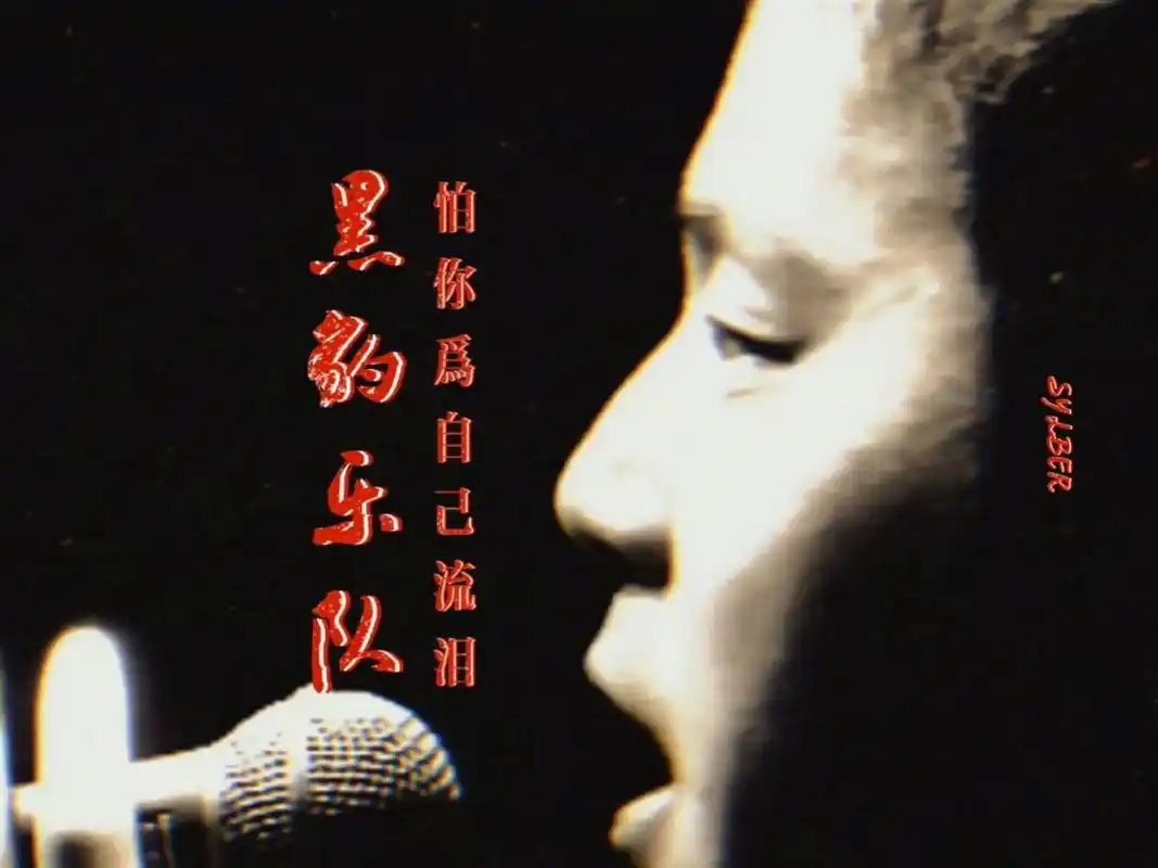 怕你为自己流泪 黑豹乐队 怕你为自己流泪 圣爱之歌 词曲唱 窦唯