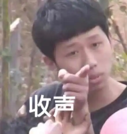 收声(王境泽指人表情包)_指人_王境_收声表情