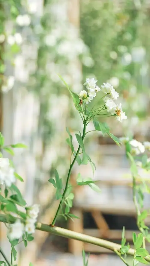 夏日小清新美丽风景,高清图片-壁纸族