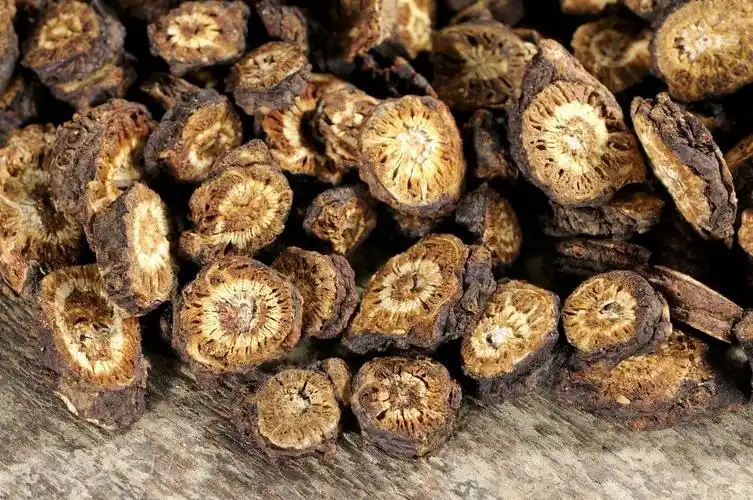 黄莲长什么样子图片(黄连种植) - 赤虎壹号