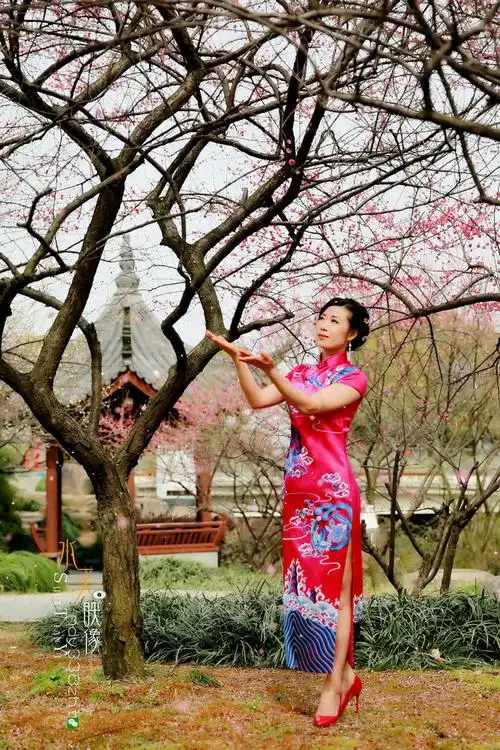 气质少妇旗袍写真2---赏梅