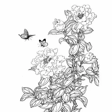 工笔画入门白描工笔画入门白描作品欣赏