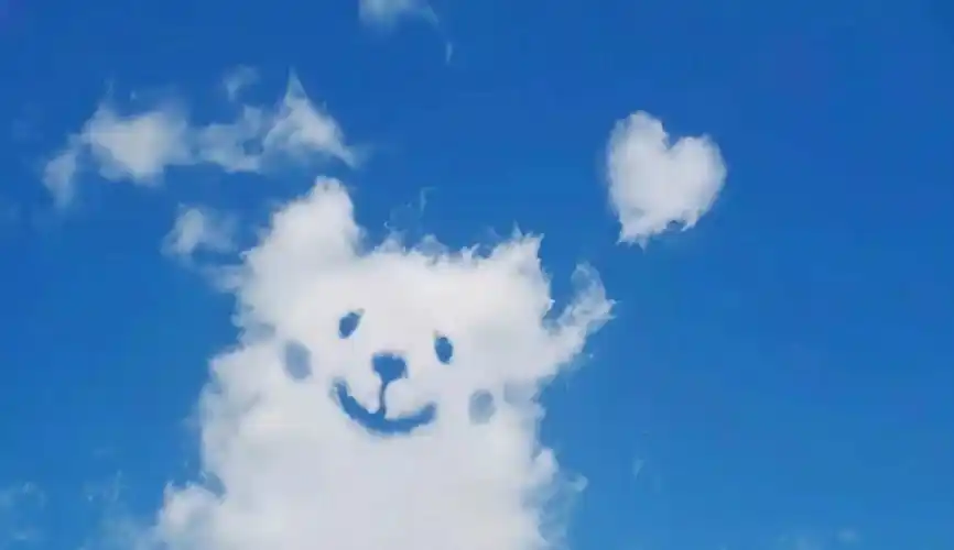 有没有惊艳简单的电脑壁纸